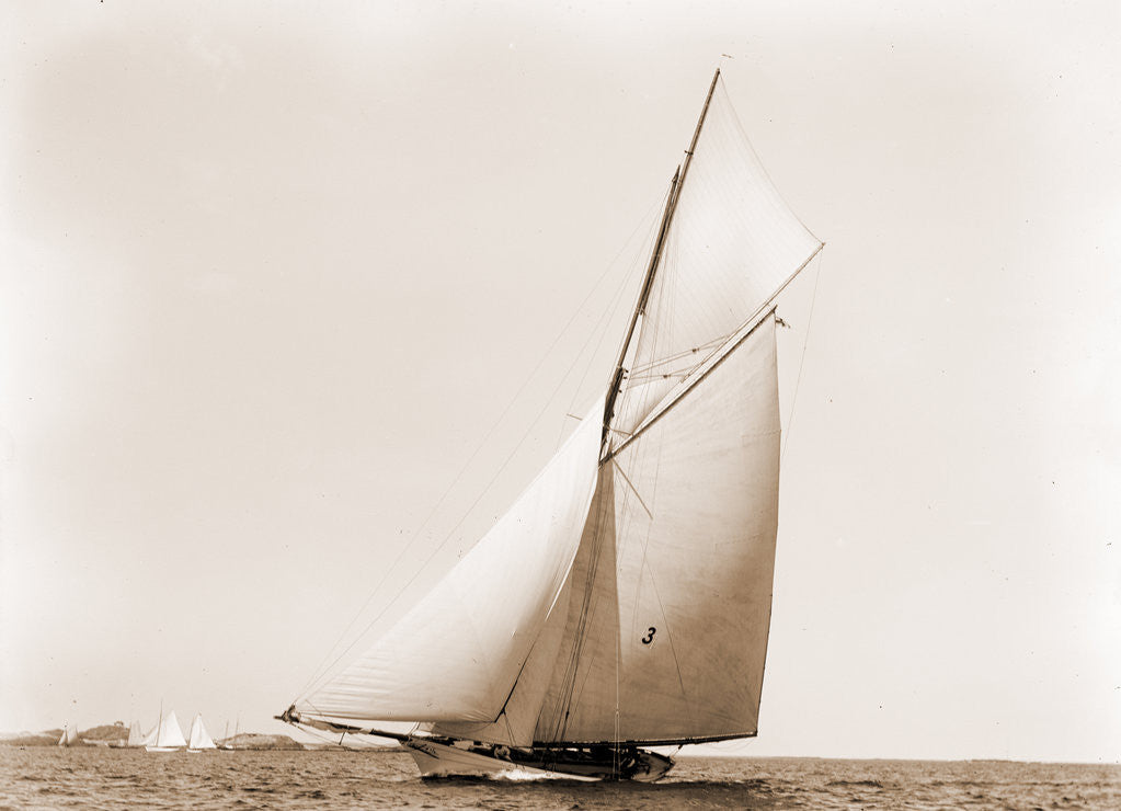 Detail of Beatrix, Harpoon (Yacht) by Anonymous