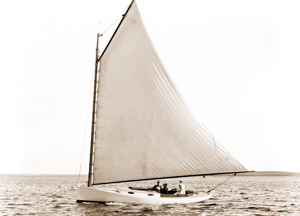 Detail of Firefly (Yacht) by Anonymous