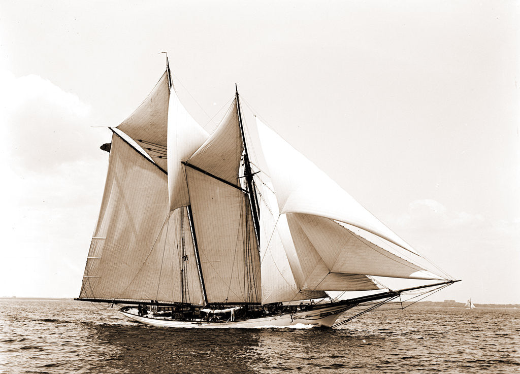 Detail of Fleur-de-lis (Yacht) by Anonymous