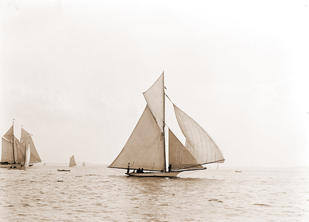 Detail of Swordfish (Yacht) by Anonymous