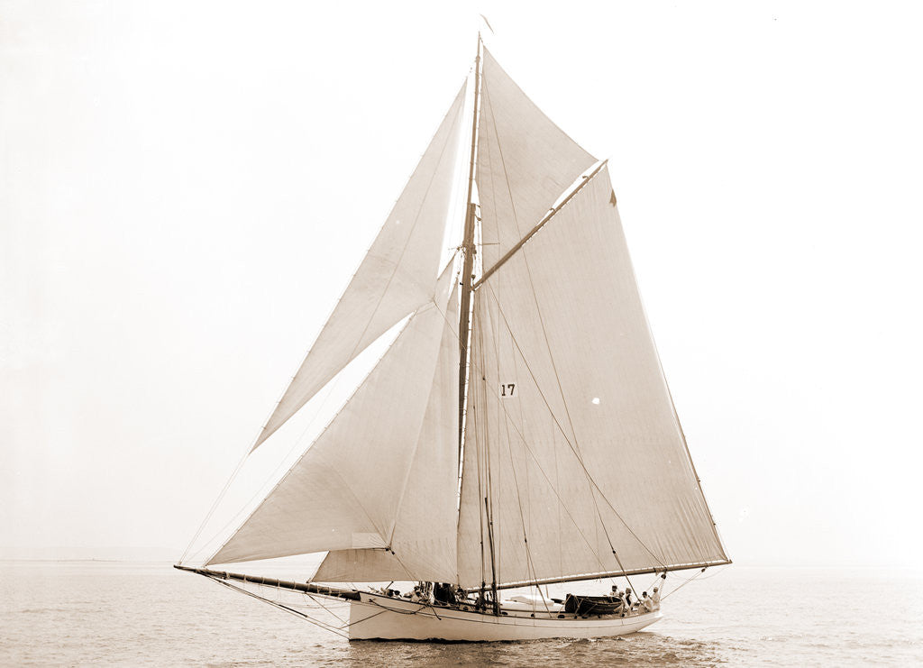 Detail of Daphne (Yacht) by Anonymous