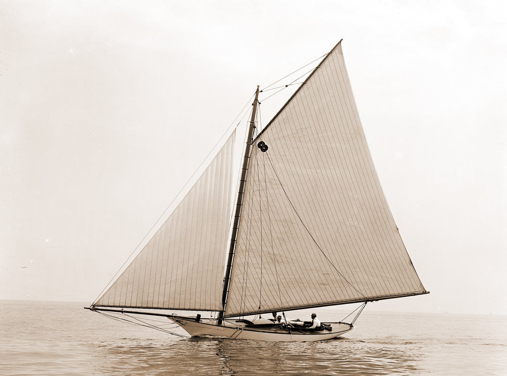 Detail of Sirocco (Yacht) by Anonymous