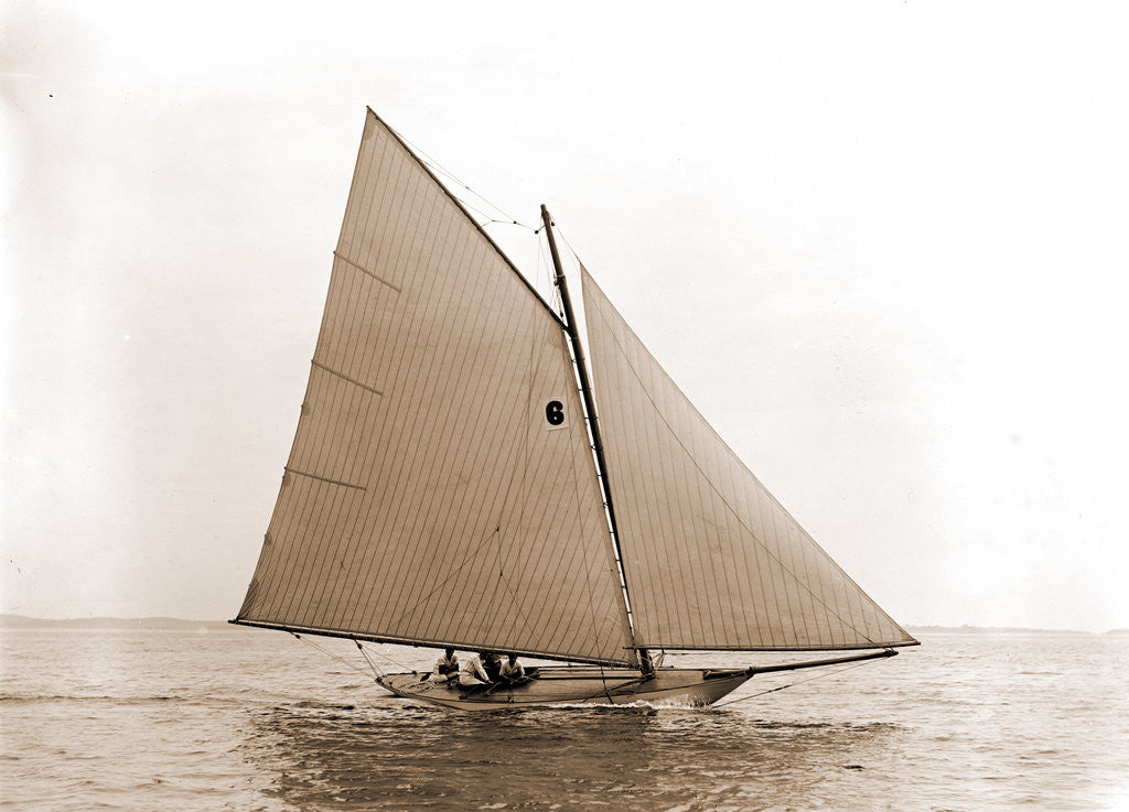 Detail of Tadpole (Yacht) by Anonymous