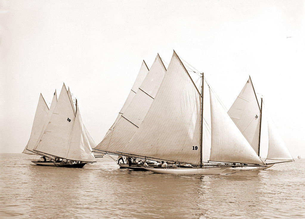Detail of Start, twenty-one footers, Regattas, 1892 by Anonymous