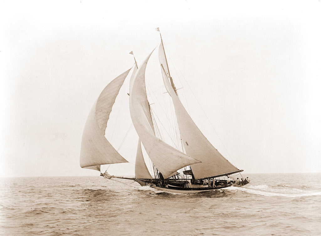 Detail of Quickstep (Schooner), 1892 by Anonymous