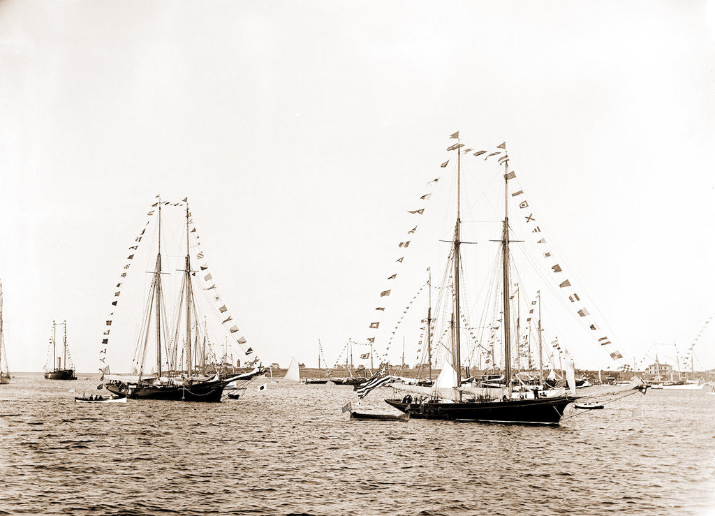Detail of N.Y.Y.C. fleet, Vineyard Haven, New York Yacht Club, Yacht clubs, Massachusetts, Vineyard Haven, 1892 by Anonymous