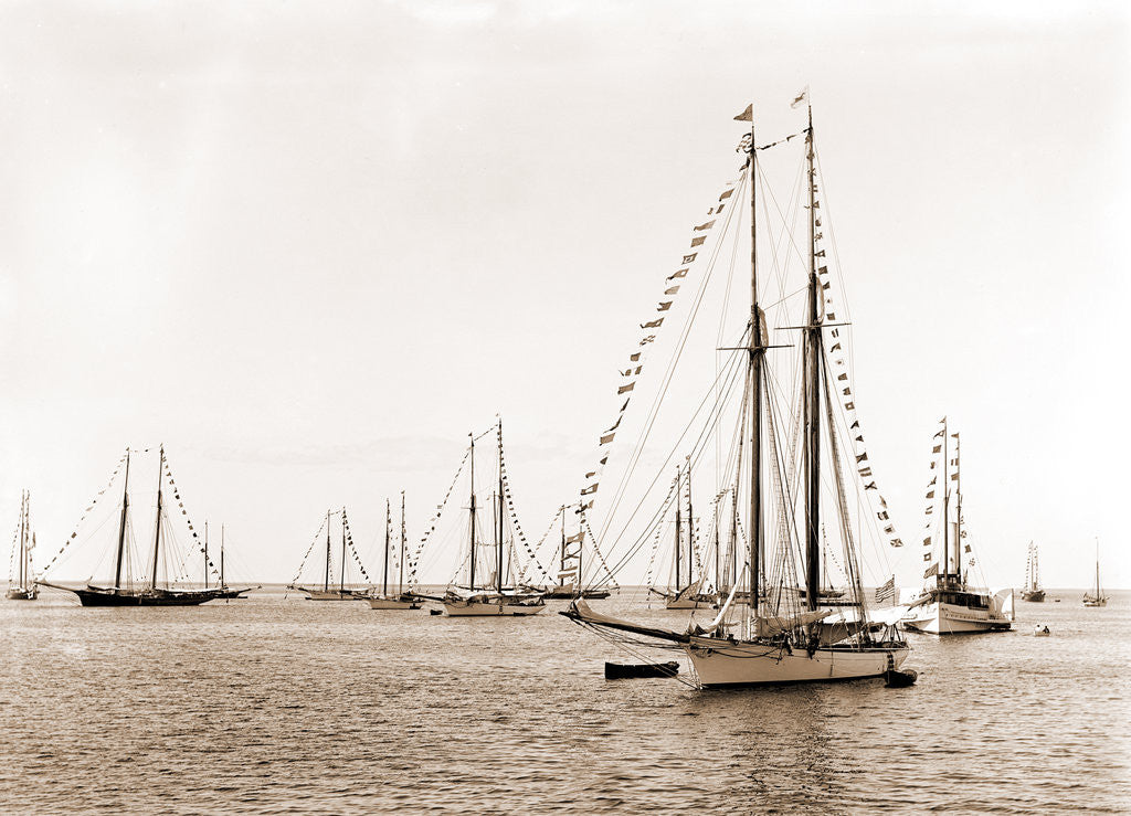 Detail of N.Y.Y.C. fleet, Vineyard Haven, New York Yacht Club, Yacht clubs, Massachusetts, Vineyard Haven, 1892 by Anonymous