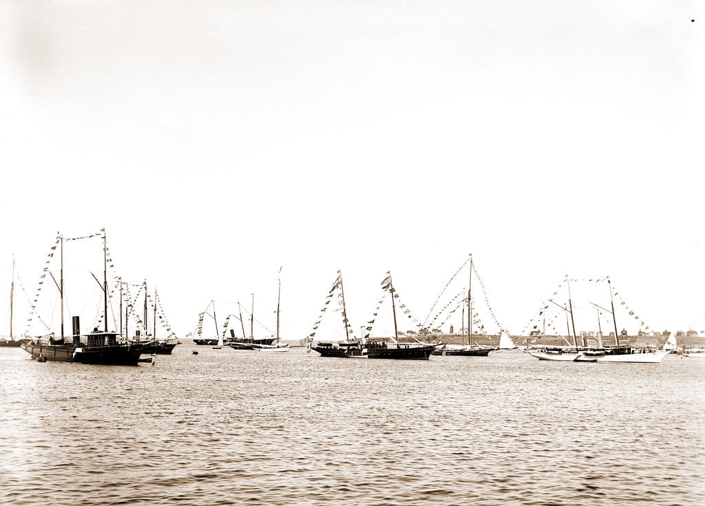 Detail of N.Y.Y.C. fleet, Vineyard Haven, August 7, '92, New York Yacht Club, Yacht clubs, Massachusetts, Vineyard Haven, 1892 by Anonymous