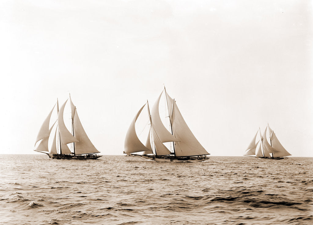 Detail of Ramona, Alcaea, and Merlin, Ramona (Schooner), 1892 by Anonymous