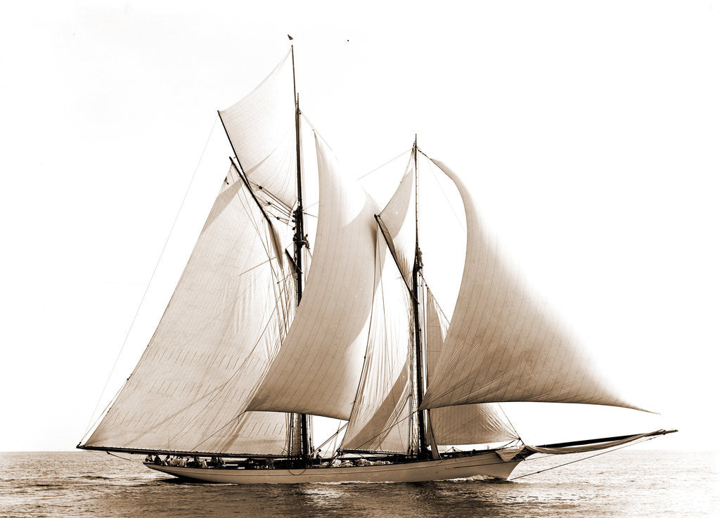 Detail of Merlin (Schooner), 1892 by Anonymous