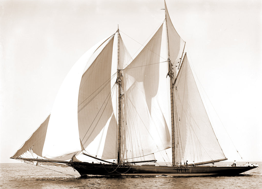 Detail of Constellation (Schooner), 1892 by Anonymous