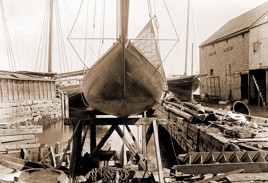 Detail of Reaper, midship section, Reaper (Yacht) by Anonymous