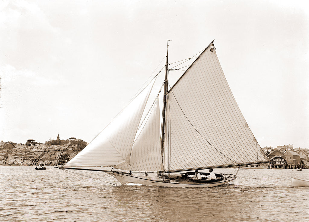 Detail of Owl (Yacht) by Anonymous
