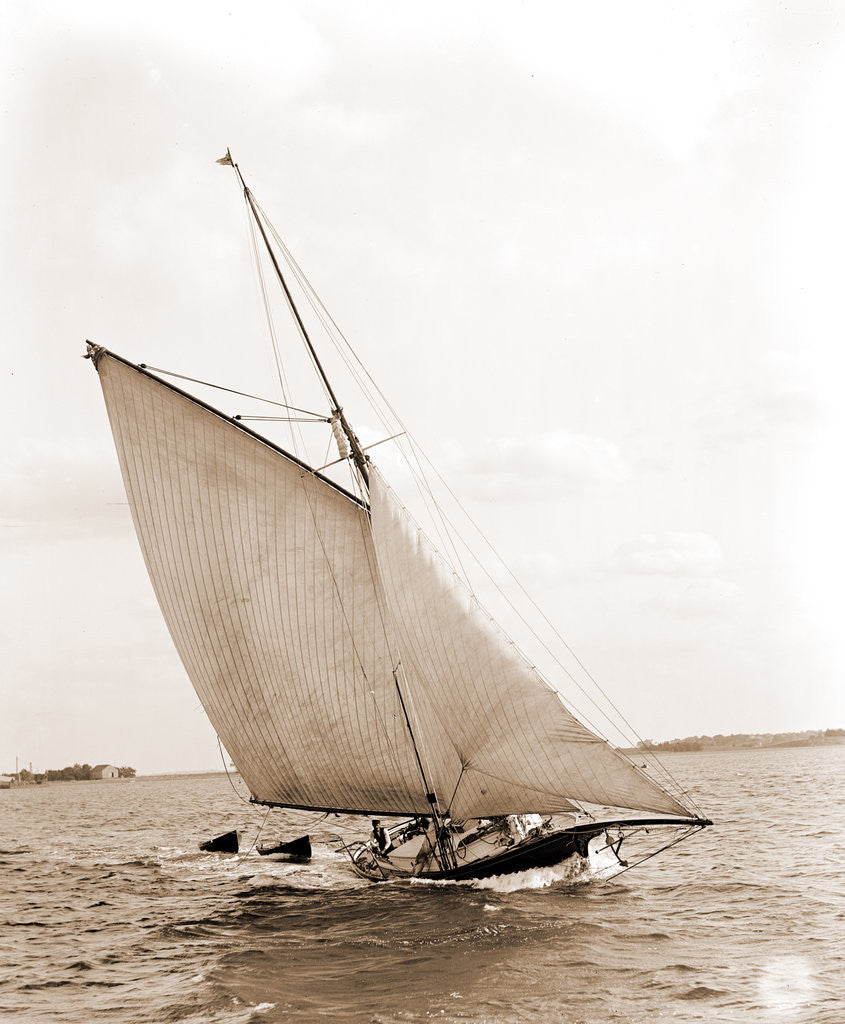 Detail of Whistler (Yacht) by Anonymous