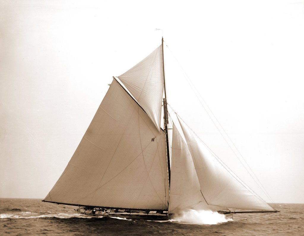 Detail of Colonia (Yacht) by Anonymous