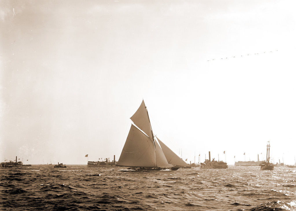 Detail of Finish of the Valkyrie, Valkyrie II (Yacht) by Anonymous