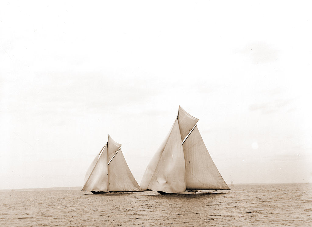 Detail of Columbia and Defender, spinnakers set, Columbia (Sloop), Defender (Yacht) by Anonymous