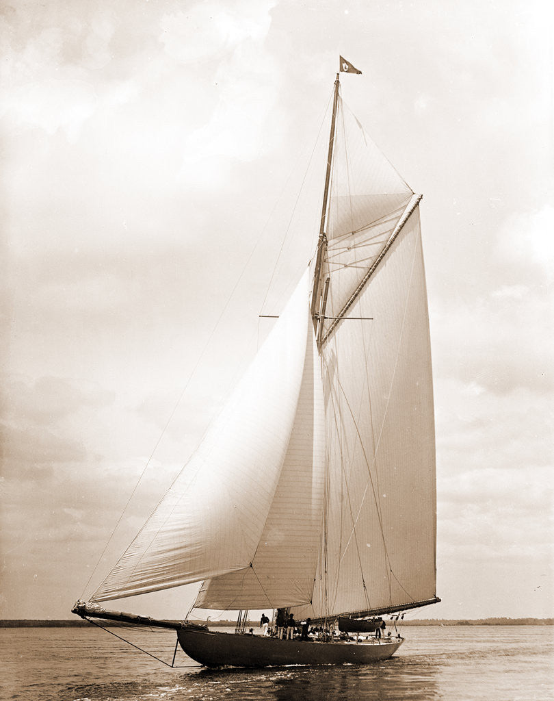 Detail of Shamrock I (Yacht) by Anonymous