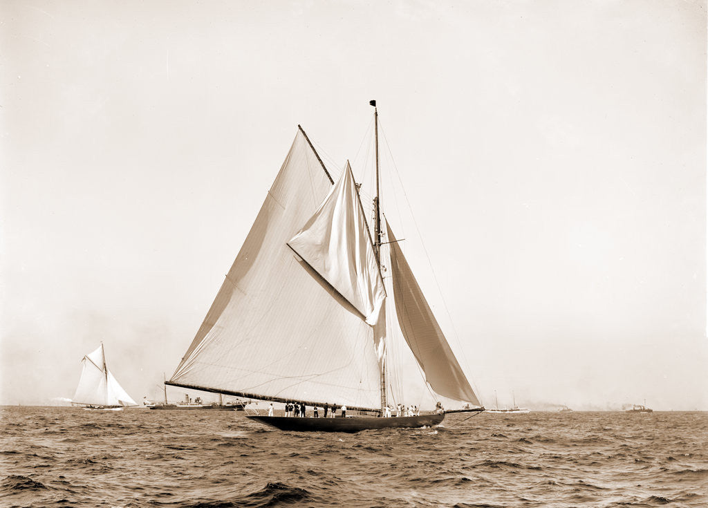 Detail of Shamrock I, setting top sail by Anonymous