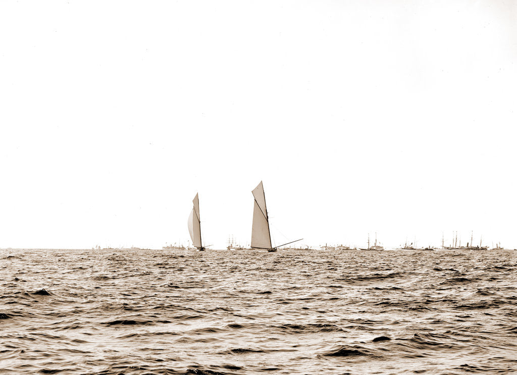Detail of Columbia and Shamrock I, luffing into the excursion fleet, Columbia (Sloop), Shamrock I (Yacht) by Anonymous