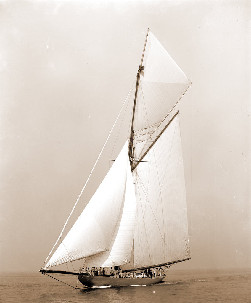 Detail of Shamrock I (Yacht) by Anonymous