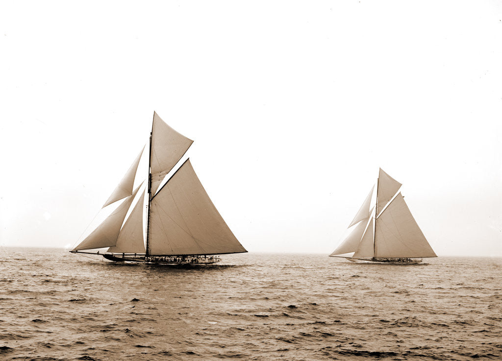 Detail of Shamrock I and Columbia at the start, Columbia (Sloop), Shamrock I (Yacht) by Anonymous
