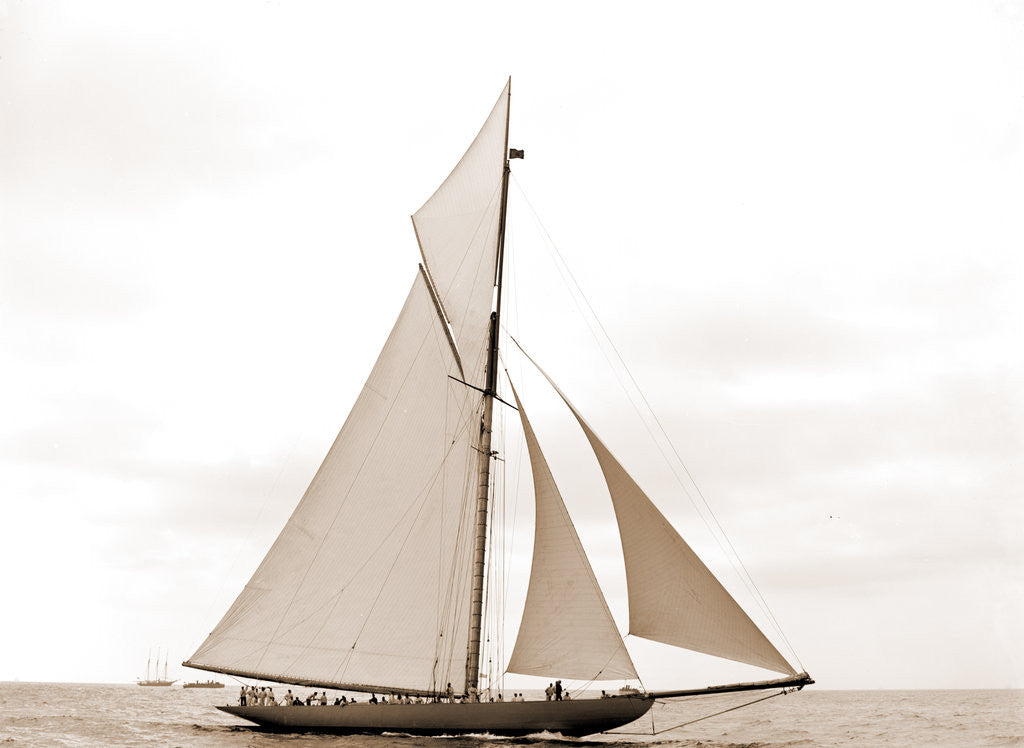 Detail of Shamrock I before the start, Shamrock I (Yacht) by Anonymous