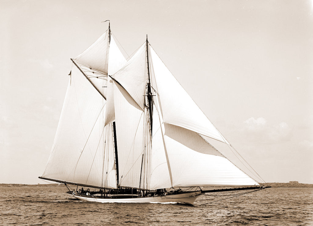 Detail of Quickstep (Schooner), 1891 by Anonymous