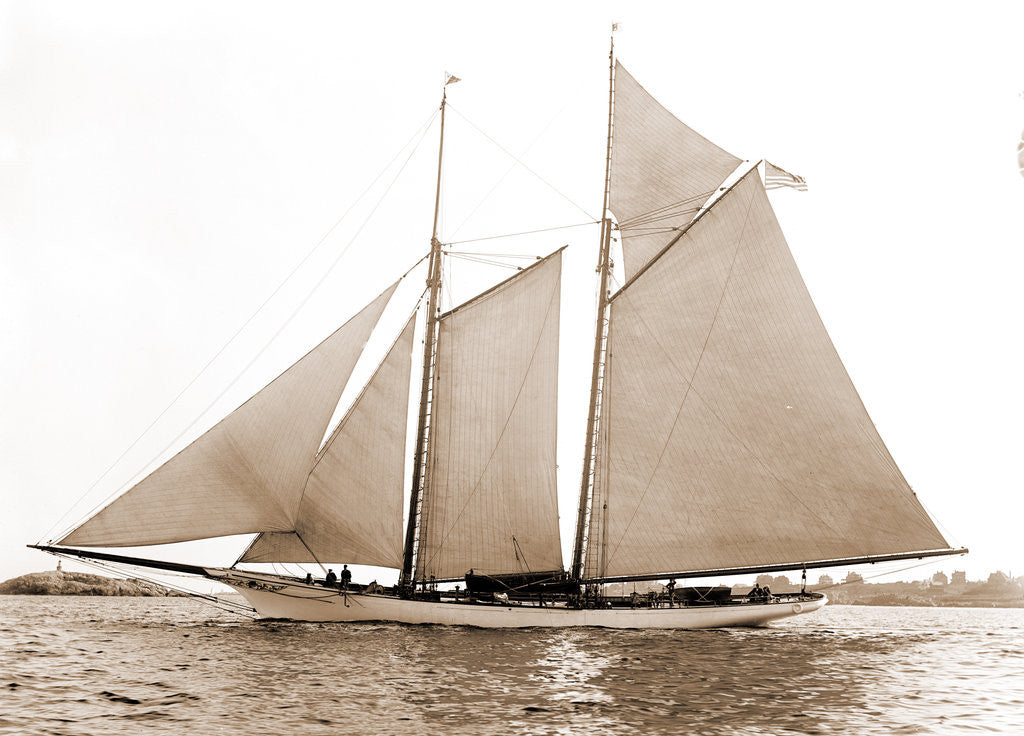 Detail of America (Schooner), 1891 by Anonymous