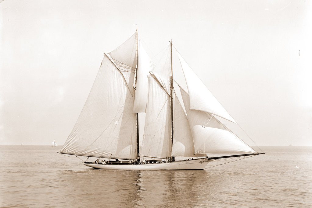 Detail of Shamrock (Schooner), 1892 by Anonymous