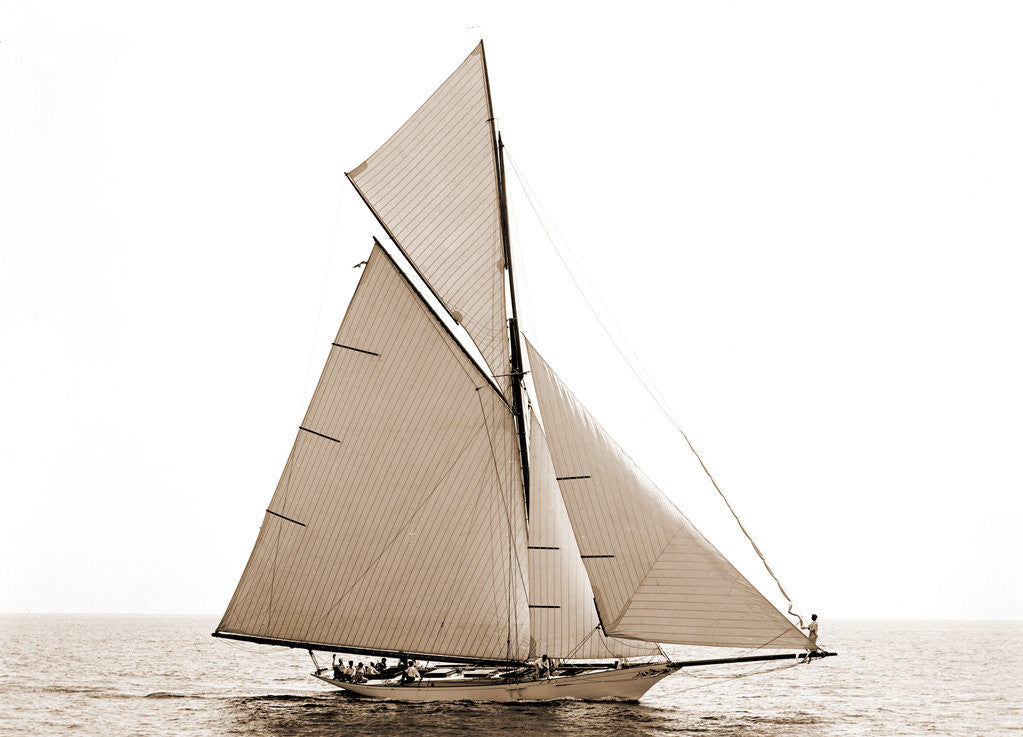 Detail of Beatrix, Harpoon (Yacht) by Anonymous