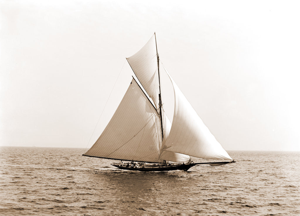 Detail of Gorilla (Yacht) by Anonymous