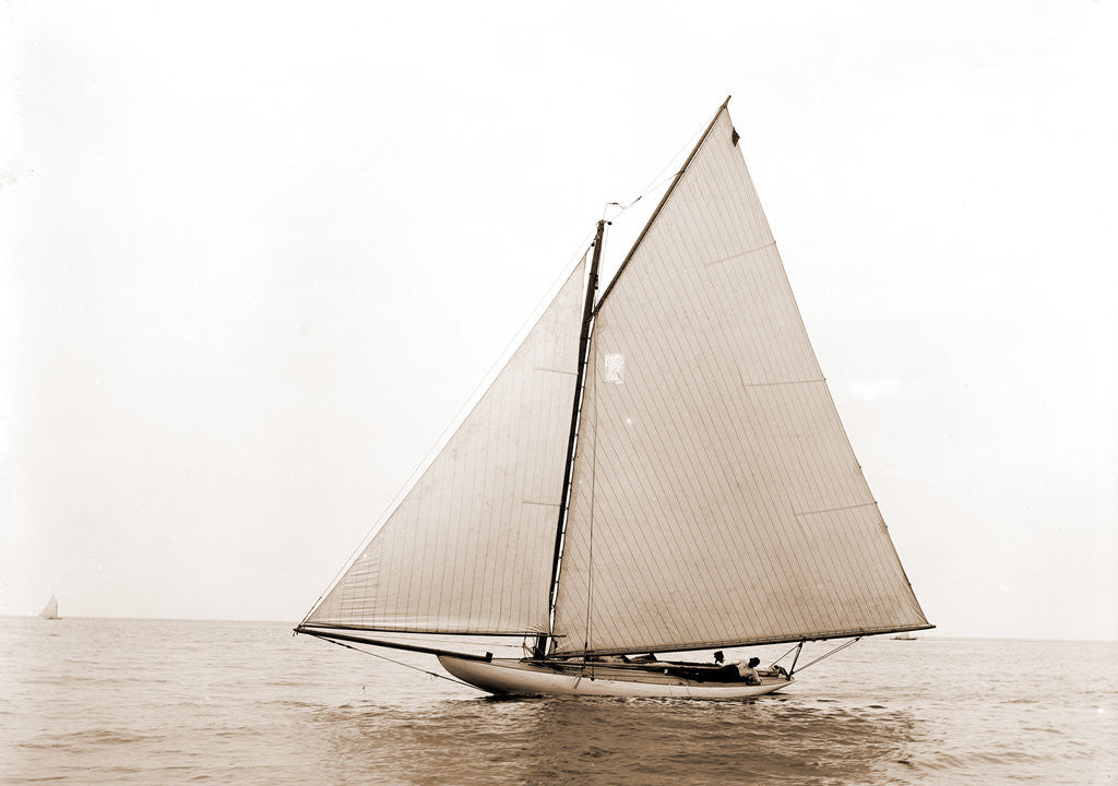 Detail of Freak (Yacht) by Anonymous