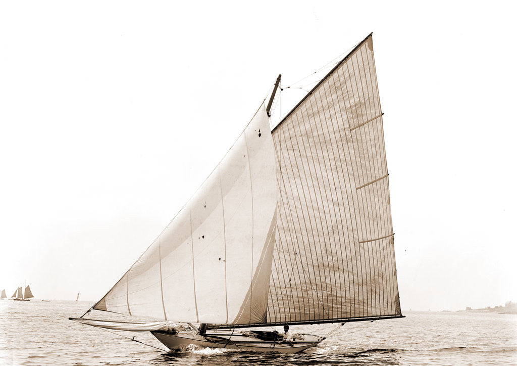 Detail of Tadpole (Yacht) by Anonymous