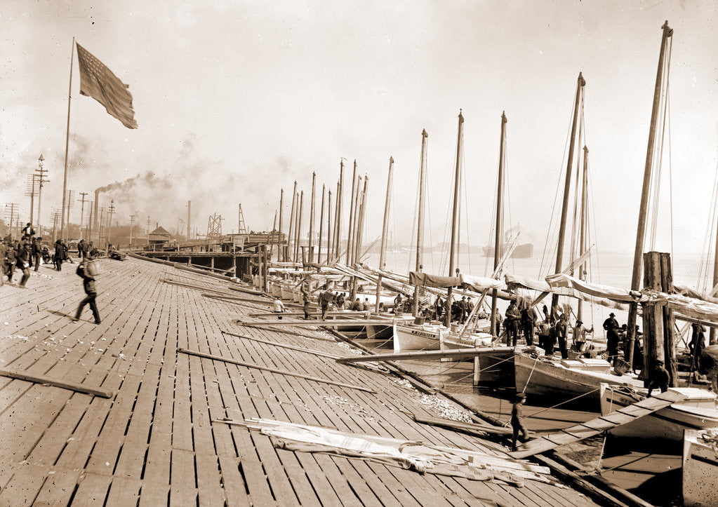 Detail of Oyster luggers at the levee, New Orleans by Anonymous