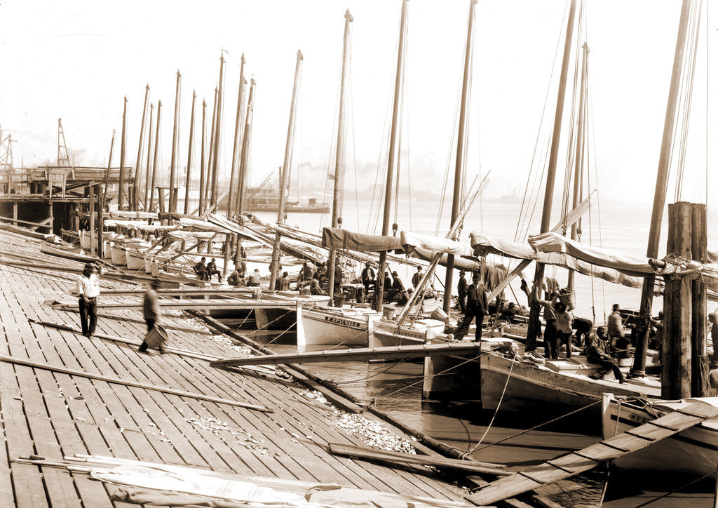 Detail of Oyster luggers at the levee, New Orleans by Anonymous