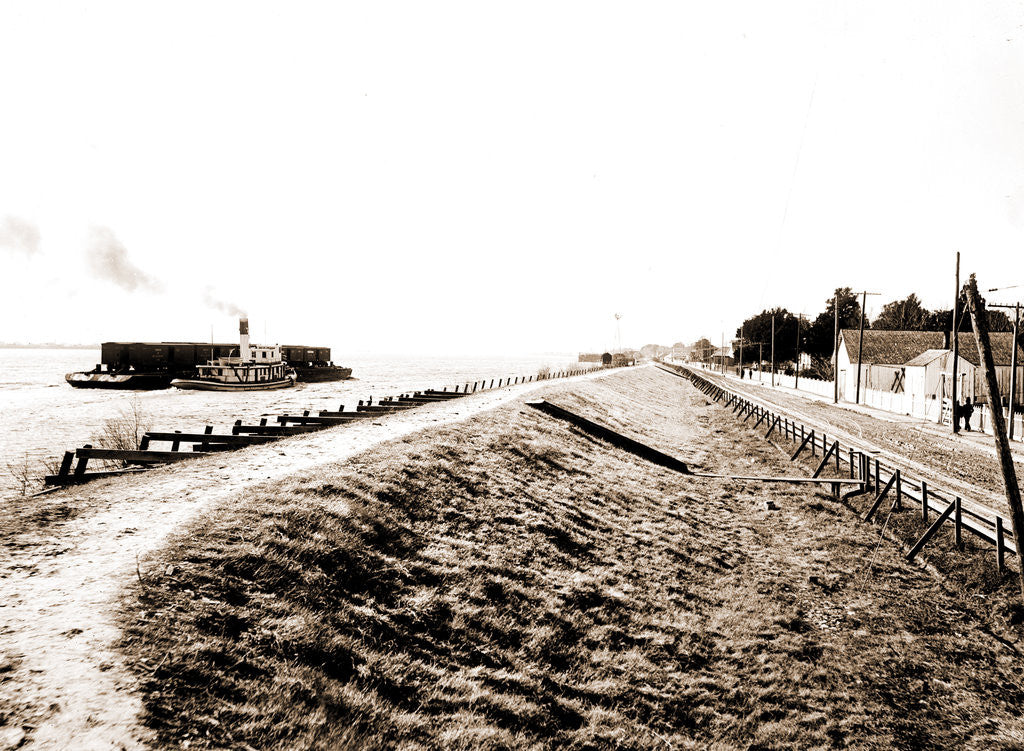 Detail of Chalmette, a section of the levee by Anonymous