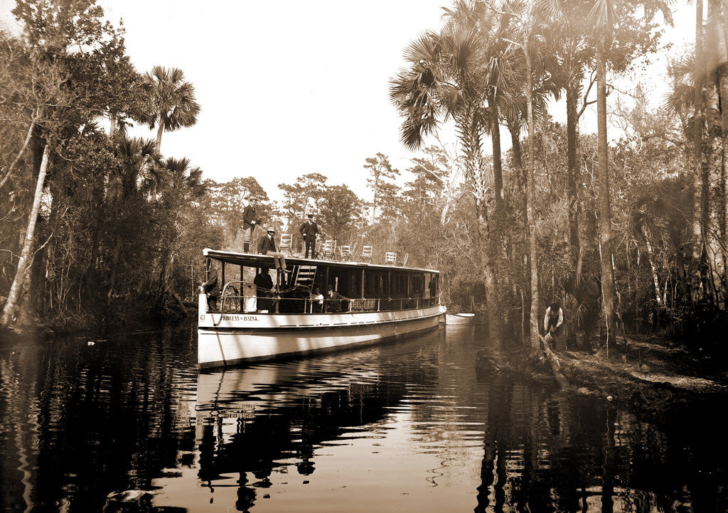 Detail of Princess Issena near Tomoka landing, Ormond by Anonymous