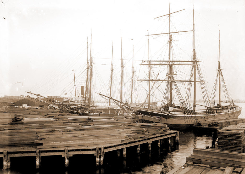 Detail of Lumber wharfs, St. John's River by Anonymous