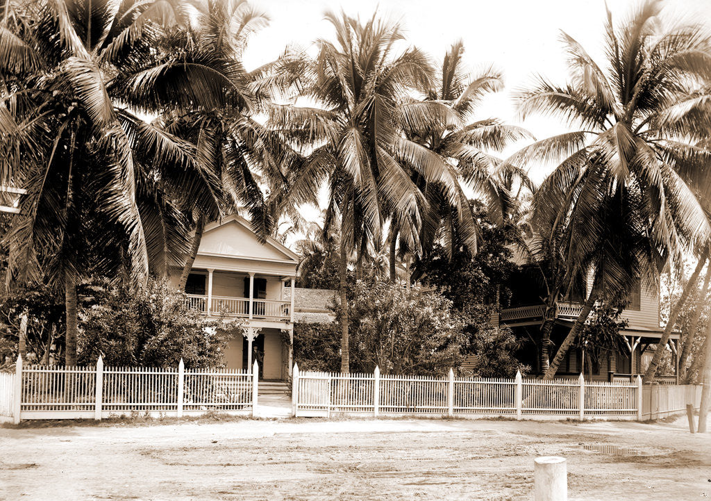 Detail of Residence in palm grove, Key West by Anonymous