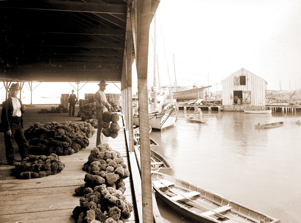 Detail of Sponge exchange on wharf, Key West by Anonymous