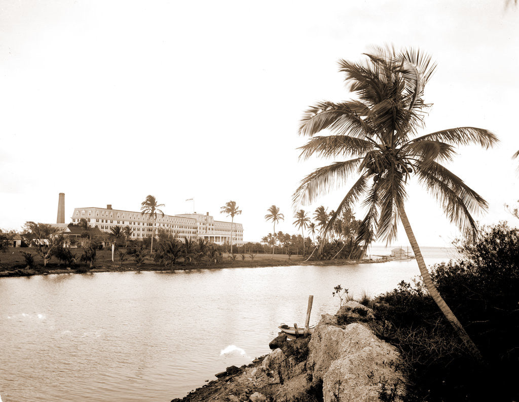 Detail of Royal Palm Hotel from Miami River, Hotels by Anonymous