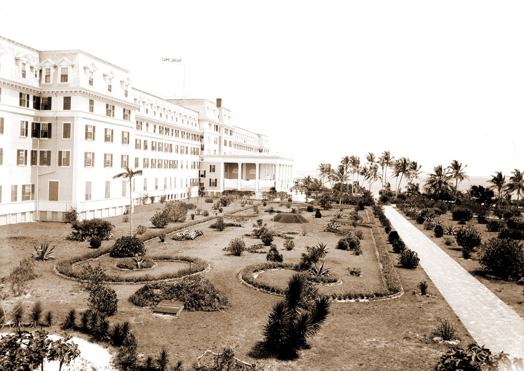 Detail of Hotel Royal Palm by Anonymous