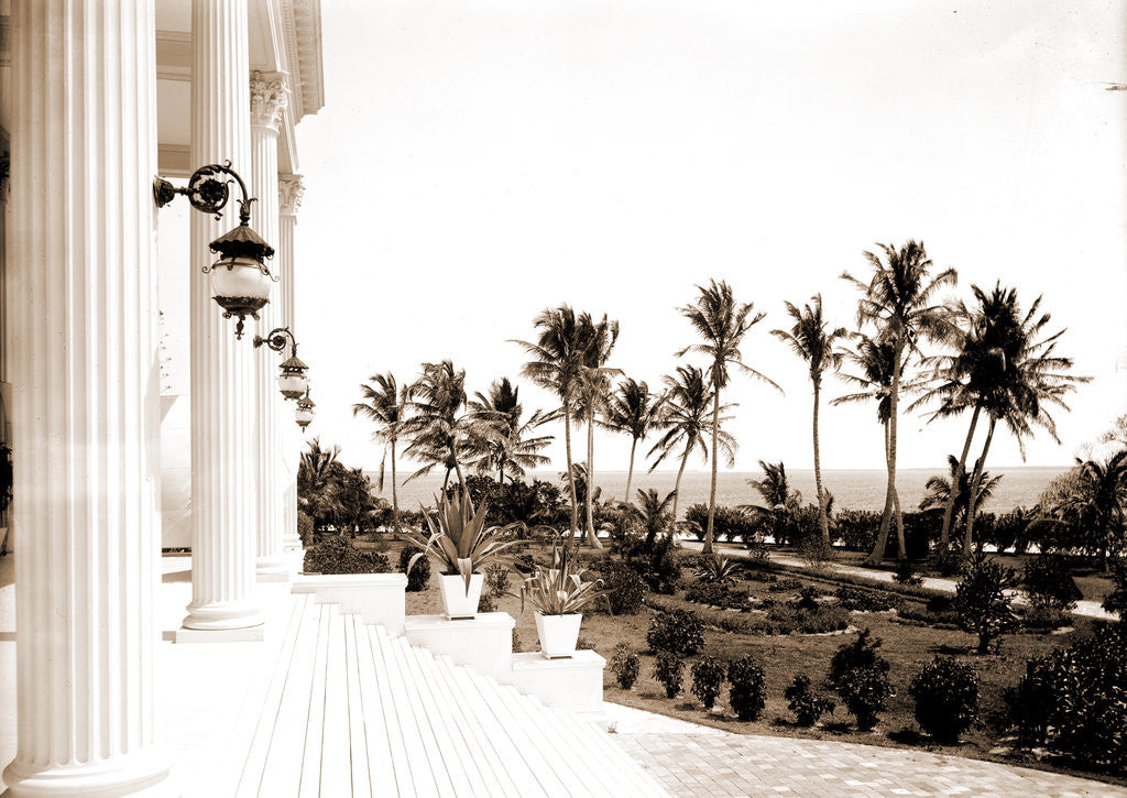 Detail of Porch of the Hotel Royal Palm by Anonymous
