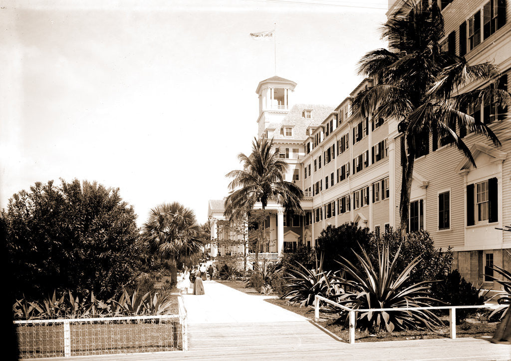 Detail of Hotel Royal Poinciana, Palm Beach by Anonymous