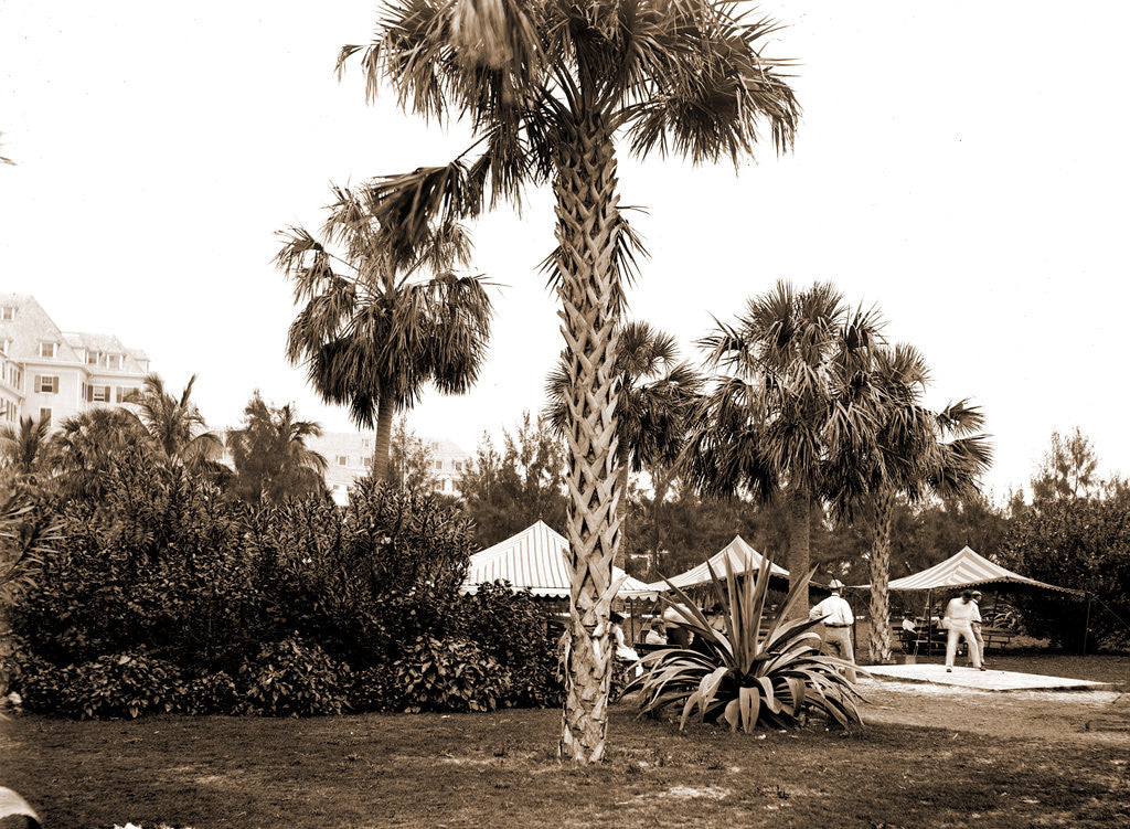 Detail of Golf links, Hotel Royal Poinciana by Anonymous
