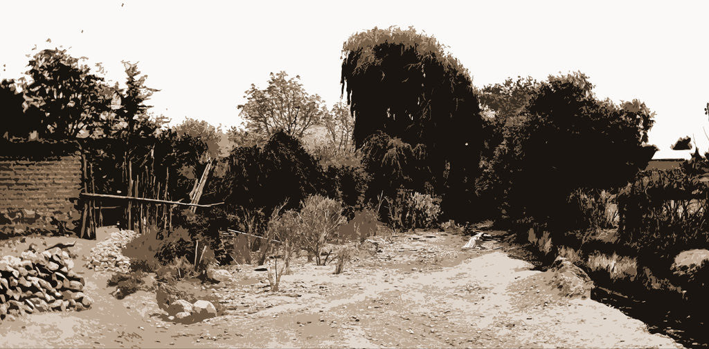 Detail of Iztacchihuatl sic from Amecameca, Jackson by Anonymous