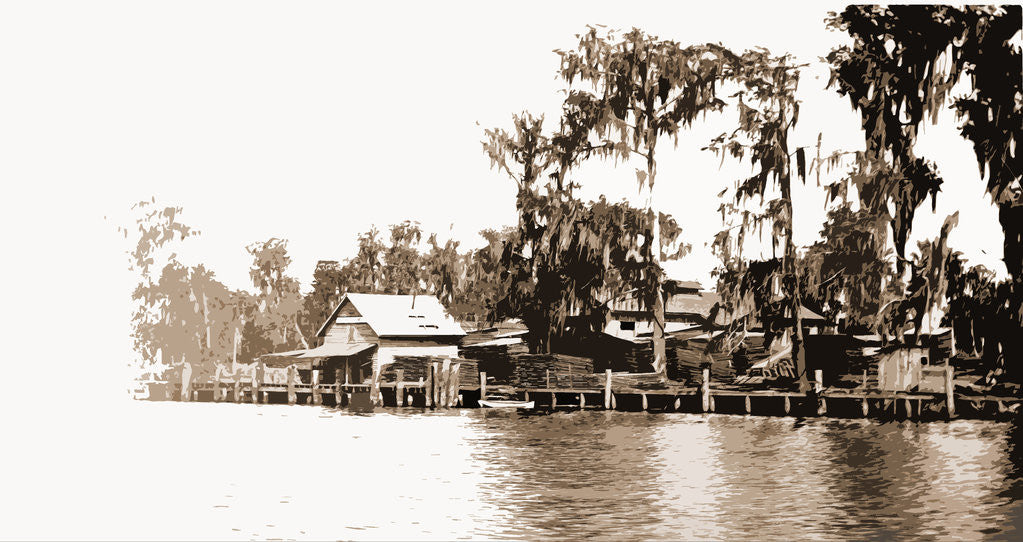 Detail of Satsuma on the St. Johns, Jackson by Anonymous