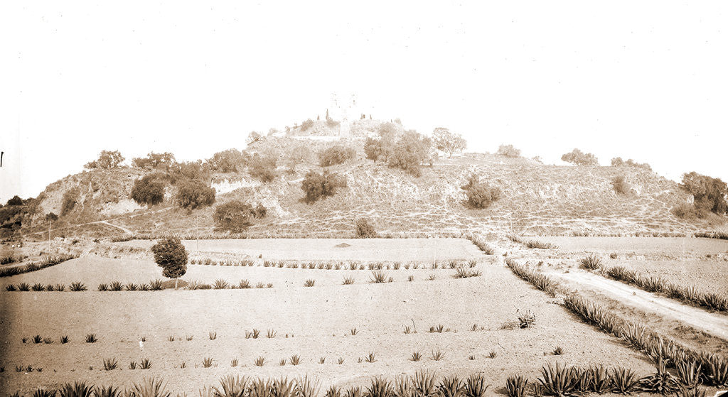 Detail of Cholula, the Pyramid Gran Piramide by Anonymous