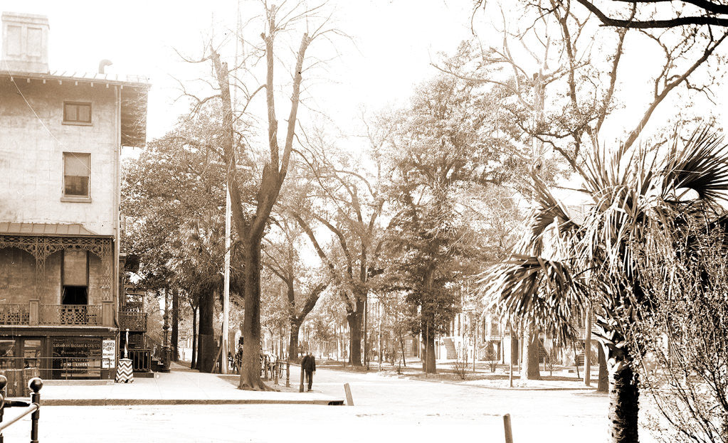 Detail of Liberty St, Savannah by Anonymous